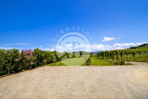 Villa i Massa Marittima, Grosseto, Massa Marittima - € 28.000.000 | Ref: IB 352 - foto 43
