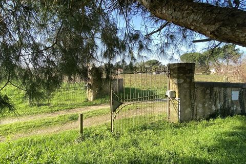 Villa i Saint Justin, Landes, Saint Justin - € 299.000 | Ref: 12080DQ612 - foto 27