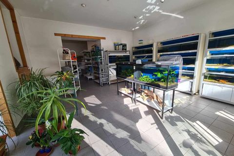 Villa a Pauillac, Gironde, Pauillac - € 95.000 | Ref: 12084DH1301 - foto 2