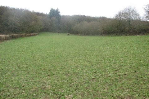 Terra a Lugny, Saone-et-Loire, Lugny - € 108.000 | Ref: 12063CY301 - foto 2