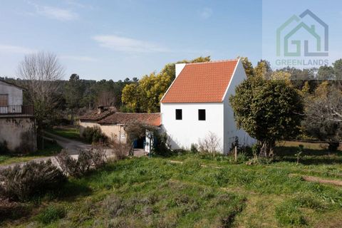 Landejendom i Tabua, Coimbra, Tabua - € 215.000 | Ref: 705 - foto 3