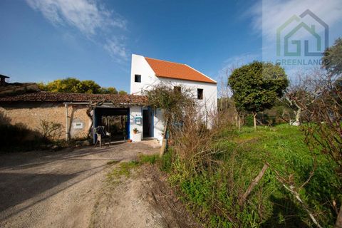 Landejendom i Tabua, Coimbra, Tabua - € 215.000 | Ref: 705 - foto 6