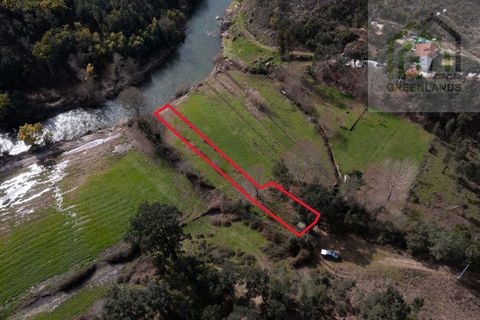 Landejendom i Tabua, Coimbra, Tabua - € 215.000 | Ref: 705 - foto 5