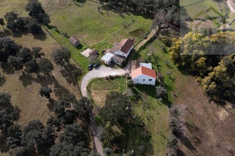 Landejendom i Tabua, Coimbra, Tabua - € 215.000 | Ref: 705 - foto 9
