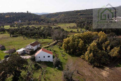 Landejendom i Tabua, Coimbra, Tabua - € 215.000 | Ref: 705 - foto 10
