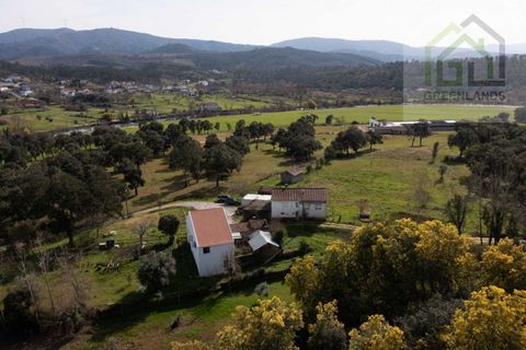 Landejendom i Tabua, Coimbra, Tabua - € 215.000 | Ref: 705 - foto 11