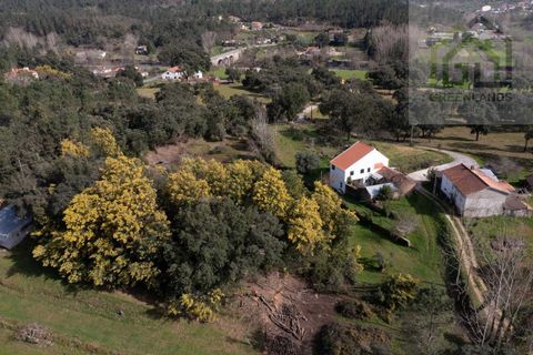 Landejendom i Tabua, Coimbra, Tabua - € 215.000 | Ref: 705 - foto 12