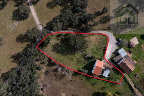 Landejendom i Tabua, Coimbra, Tabua - € 215.000 | Ref: 705 - foto 13
