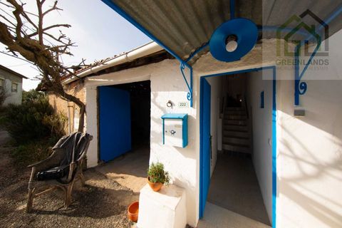 Landejendom i Tabua, Coimbra, Tabua - € 215.000 | Ref: 705 - foto 14