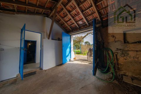 Landejendom i Tabua, Coimbra, Tabua - € 215.000 | Ref: 705 - foto 16