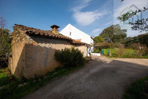 Landejendom i Tabua, Coimbra, Tabua - € 215.000 | Ref: 705 - foto 43