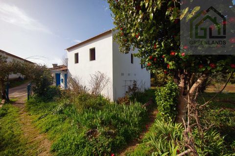 Landejendom i Tabua, Coimbra, Tabua - € 215.000 | Ref: 705 - foto 44