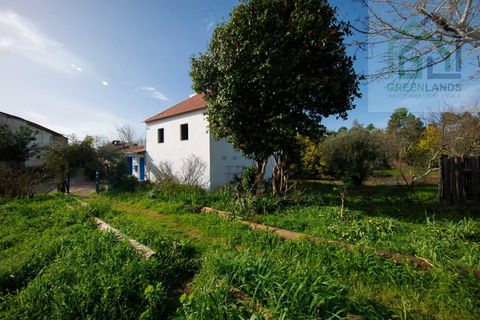 Landejendom i Tabua, Coimbra, Tabua - € 215.000 | Ref: 705 - foto 45