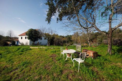 Landejendom i Tabua, Coimbra, Tabua - € 215.000 | Ref: 705 - foto 46