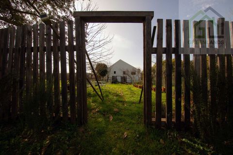 Landejendom i Tabua, Coimbra, Tabua - € 215.000 | Ref: 705 - foto 47