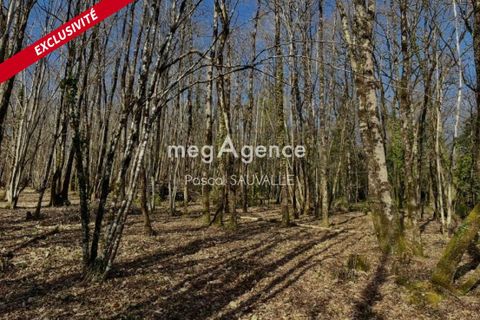 Helårsgrund i Chancelade, Dordogne, Chancelade - € 48.000 | Ref: 199157 - foto 1