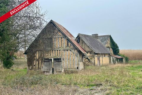 Farm hus i Husson, Manche, Husson - € 108.000 | Ref: 199600 - foto 4