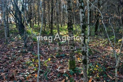 Terra a Le Chastang, Correze, Le Chastang - € 24.000 | Ref: 199208 - foto 2