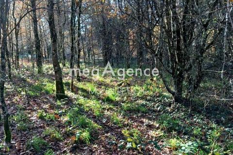 Terra a Le Chastang, Correze, Le Chastang - € 24.000 | Ref: 199208 - foto 3