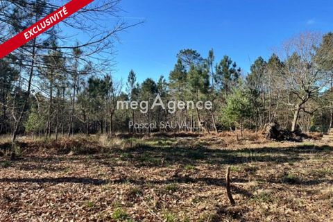 Helårsgrund i Chancelade, Dordogne, Chancelade - € 58.000 | Ref: 199156 - foto 1