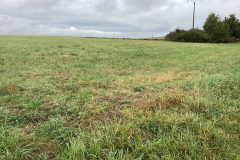 Terra a Le Hamel, Somme, Le Hamel - € 38.000 | Ref: 195855 - foto 4