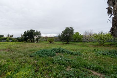 Landejendom i Orihuela, Alicante, Orihuela - € 249.000 | Ref: 59bf6c5e-922e-4990-a - foto 32