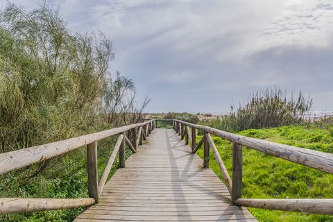 Finca i Barbate, Cadiz, Barbate - € 2.800.000 | Ref: SPCRM4643 - foto 18