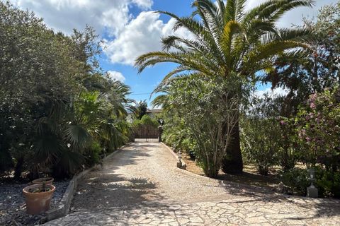 Willa: Pollenca, Mallorca, Pollenca – 1 695 000 € | Ref: 331 Pollensa Finca ETV 1.700.000 – zdjęcie 3