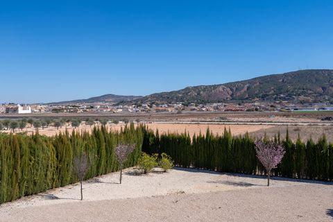 Villa a Pinoso, Alicante, Pinoso - € 465.000 | Ref: CF3302 - foto 44