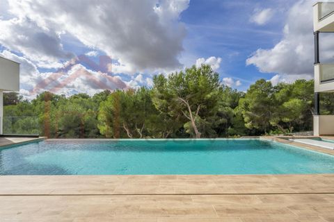 Villa i Pinar De Campoverde, Alicante, Pinar De Campoverde - € 2.750.000 | Ref: MSR-16PCV - foto 40