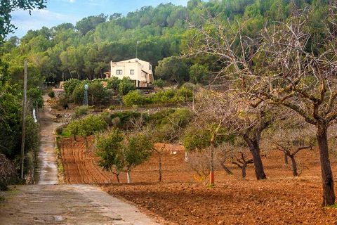 Finca i Manacor, Mallorca, Manacor - € 1.600.000 | Ref: FALC-Nep-59992 - foto 10