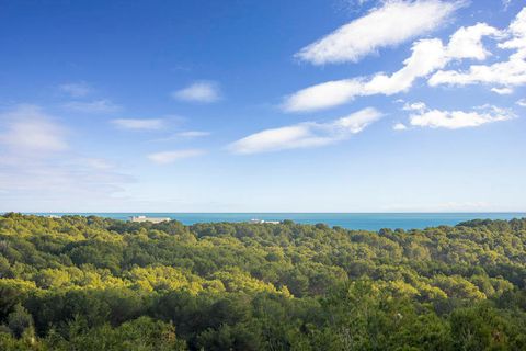 Finca i Manacor, Mallorca, Manacor - € 1.600.000 | Ref: FALC-Nep-59992 - foto 18