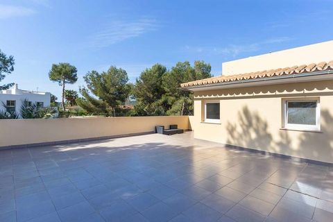Villa a Sol De Mallorca, Mallorca, Sol De Mallorca - € 2.600.000 | Ref: FALC-Nep-60002 - foto 13