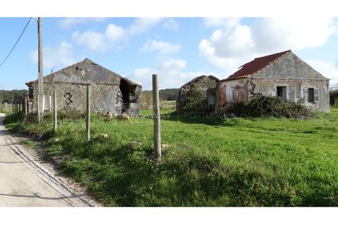 Farm i A dos Cunhados e Maceira, Lisbon, A dos Cunhados e Maceira - € 1.450.000 | Ref: MAS_1323 - foto 2