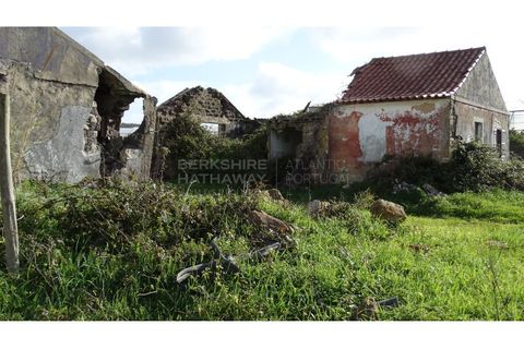 Farm i A dos Cunhados e Maceira, Lisbon, A dos Cunhados e Maceira - € 1.450.000 | Ref: MAS_1323 - foto 3