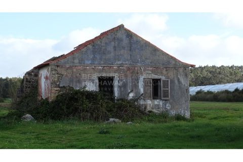 Farm i A dos Cunhados e Maceira, Lisbon, A dos Cunhados e Maceira - € 1.450.000 | Ref: MAS_1323 - foto 4