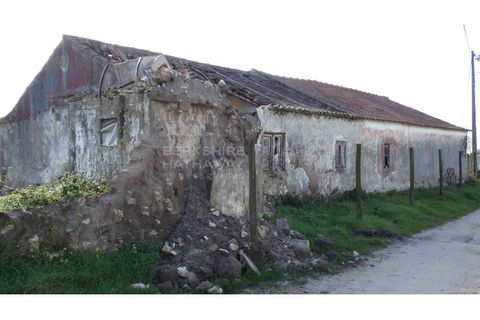 Farm i A dos Cunhados e Maceira, Lisbon, A dos Cunhados e Maceira - € 1.450.000 | Ref: MAS_1323 - foto 5