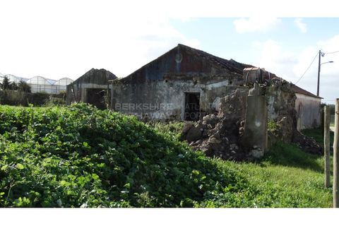 Farm i A dos Cunhados e Maceira, Lisbon, A dos Cunhados e Maceira - € 1.450.000 | Ref: MAS_1323 - foto 6