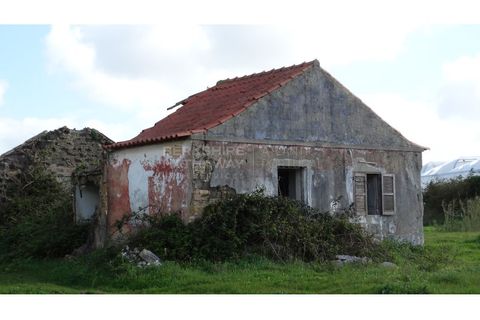 Farm i A dos Cunhados e Maceira, Lisbon, A dos Cunhados e Maceira - € 1.450.000 | Ref: MAS_1323 - foto 7