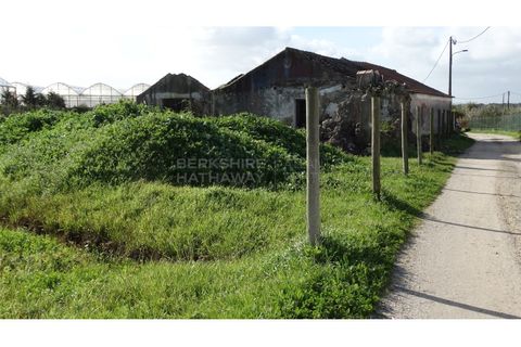 Farm i A dos Cunhados e Maceira, Lisbon, A dos Cunhados e Maceira - € 1.450.000 | Ref: MAS_1323 - foto 8