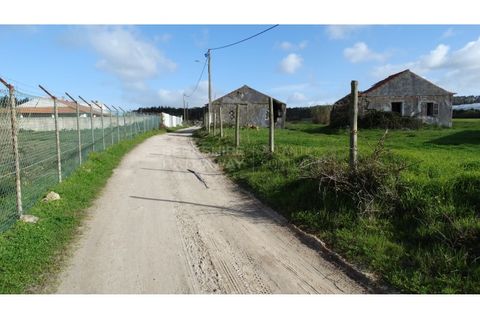 Farm i A dos Cunhados e Maceira, Lisbon, A dos Cunhados e Maceira - € 1.450.000 | Ref: MAS_1323 - foto 9