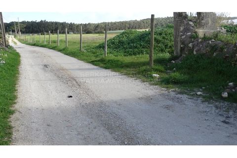 Farm i A dos Cunhados e Maceira, Lisbon, A dos Cunhados e Maceira - € 1.450.000 | Ref: MAS_1323 - foto 10