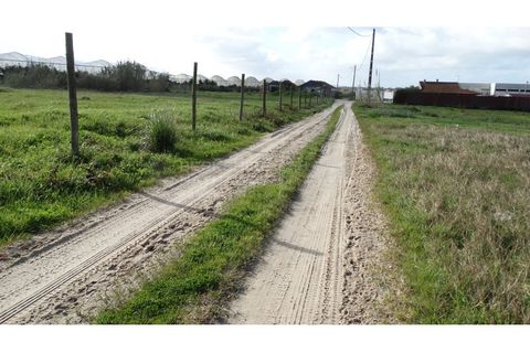 Farm i A dos Cunhados e Maceira, Lisbon, A dos Cunhados e Maceira - € 1.450.000 | Ref: MAS_1323 - foto 11