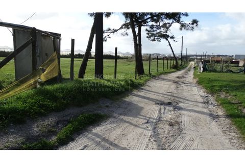 Farm i A dos Cunhados e Maceira, Lisbon, A dos Cunhados e Maceira - € 1.450.000 | Ref: MAS_1323 - foto 12