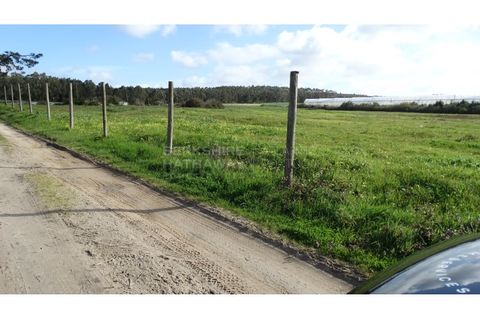 Farm i A dos Cunhados e Maceira, Lisbon, A dos Cunhados e Maceira - € 1.450.000 | Ref: MAS_1323 - foto 13