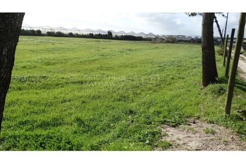Farm i A dos Cunhados e Maceira, Lisbon, A dos Cunhados e Maceira - € 1.450.000 | Ref: MAS_1323 - foto 14