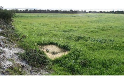 Farm i A dos Cunhados e Maceira, Lisbon, A dos Cunhados e Maceira - € 1.450.000 | Ref: MAS_1323 - foto 16