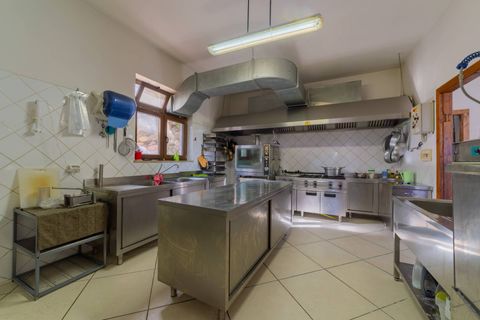 Farm i Vasto, Chieti, Vasto - € 1.200.000 | Ref: 351 - foto 14