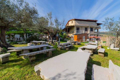 Farm i Vasto, Chieti, Vasto - € 1.200.000 | Ref: 351 - foto 17