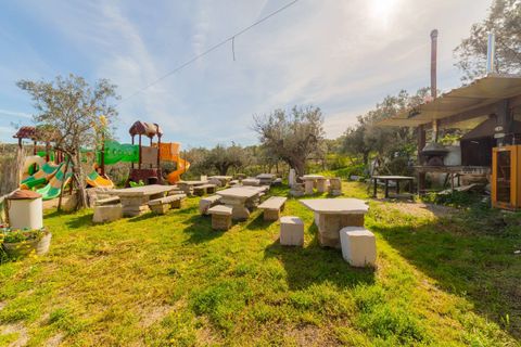 Farm i Vasto, Chieti, Vasto - € 1.200.000 | Ref: 351 - foto 18